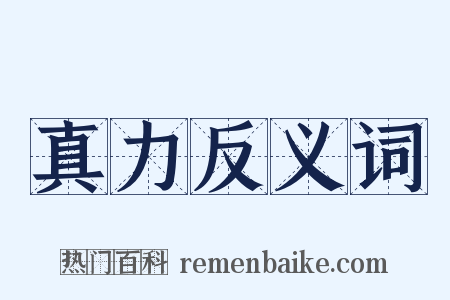 真力反义词是什么意思的图片